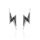 Ladies' Stud Earrings R104 1