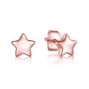 Ladies' Stud Earrings R63 6