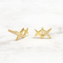 Ladies' Stud Earrings R65 10