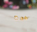 Ladies' Stud Earrings R65 14