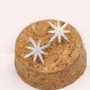 Ladies' Stud Earrings Star 2
