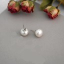 Ladies' Stud Earrings with Pearl G1160 1