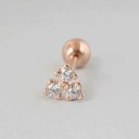 Ladies' Stud Earrings with Stones A1725 1