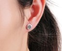 Ladies' Stud Earrings with Stones R49 2