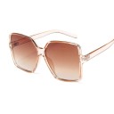 Ladies' Sunglasses E1242 3