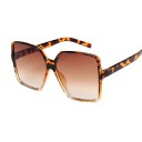 Ladies' Sunglasses E1242 5
