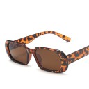 Ladies' Sunglasses E1244 8