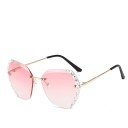 Ladies' Sunglasses E1257 22