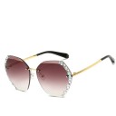 Ladies' Sunglasses E1257 28