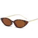 Ladies' Sunglasses E1260 9