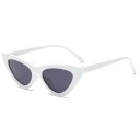 Ladies' Sunglasses E1278 9