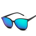 Ladies' Sunglasses E1293 2
