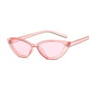 Ladies' Sunglasses E1309 4