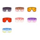 Ladies' Sunglasses E1328 10
