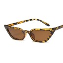 Ladies' Sunglasses E1344 4