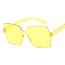 Ladies' Sunglasses E1372 16
