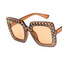 Ladies' Sunglasses E1379 2
