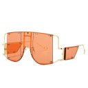 Ladies' Sunglasses E1400 6