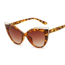 Ladies' Sunglasses E1402 5