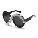 Ladies' Sunglasses E1479 2