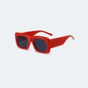Ladies' Sunglasses E1484 5