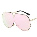 Ladies' Sunglasses E1491 2