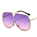 Ladies' Sunglasses E1491 6