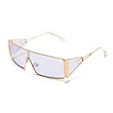 Ladies' Sunglasses E1495 2