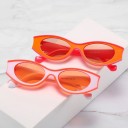 Ladies' Sunglasses E1501 10