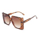 Ladies' Sunglasses E1534 6