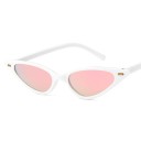 Ladies' Sunglasses E1565 5