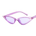 Ladies' Sunglasses E1565 6