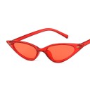 Ladies' Sunglasses E1565 7