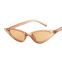 Ladies' Sunglasses E1565 8