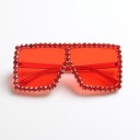Ladies' Sunglasses E1585 2