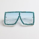 Ladies' Sunglasses E1585 5