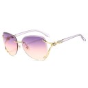 Ladies' Sunglasses E1601 8
