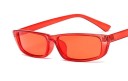 Ladies' Sunglasses E1618 2