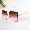 Ladies' Sunglasses E1621 2