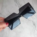 Ladies' Sunglasses E1624 10