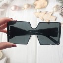 Ladies' Sunglasses E1624 11