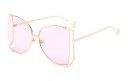 Ladies' Sunglasses E1626 3
