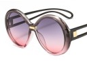 Ladies' Sunglasses E1633 5
