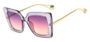 Ladies' Sunglasses E1637 2