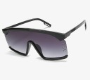 Ladies' Sunglasses E1651 1
