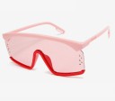 Ladies' Sunglasses E1651 3