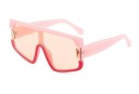 Ladies' Sunglasses E1687 5