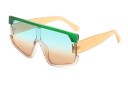 Ladies' Sunglasses E1687 6