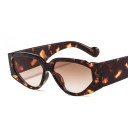 Ladies' Sunglasses E1716 2