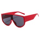 Ladies' Sunglasses E1738 9